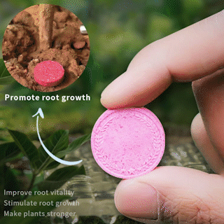 🔥2025 Hot Sale 50%OFF 🌞Home Gardening Universal Slow-Release Tablet Organic Fertilizer
