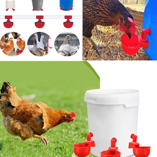 🐔utomatic poultry drinking fountain