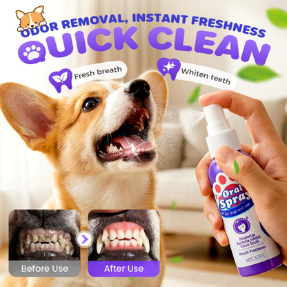 Buy 2 get 1 free🎁No-Brush Pet Dental Care Spray