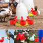 🐔utomatic poultry drinking fountain