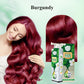 🔥Christmas Limited-Time Offer: 50% OFF!!!🔥Pure Plant Extract Bubble Hair Dye