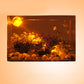 Adjustable Light Direction Aquarium Spotlight for Fish Tank