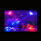 Adjustable Light Direction Aquarium Spotlight for Fish Tank