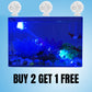 Adjustable Light Direction Aquarium Spotlight for Fish Tank