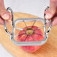 Stainless Steel Apple Cutter Slicer