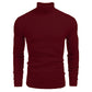 🔥2026 New Arrivals: 50% Off for a Limited Time!🔥Winter Men's Knitted Turtleneck Slim Sweater