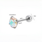 Women's Titanium Brilliant Stud Earrings