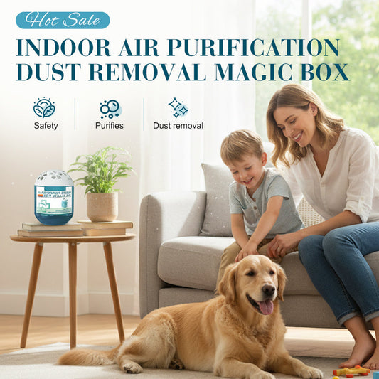 🔥Last day of the limited-time 50% off sale!🔥2026 New Collection ⏰Indoor Air Purification Dust Removal Magic Box🏠🌿