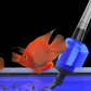 🔥Christmas Limited-Time Offer: 50% OFF!!!🔥Electric Suction Aquarium Water Changer Filter Cleaner