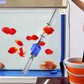 🔥Christmas Limited-Time Offer: 50% OFF!!!🔥Electric Suction Aquarium Water Changer Filter Cleaner