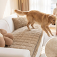 🔥2026 New Arrivals: 50% Off for a Limited Time!🛋️ Pet-Friendly Sofa Cushions Are Here! Non-slip, scratch-resistant, and ultra-soft—lay them down and relax! ✨