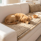 🔥2026 New Arrivals: 50% Off for a Limited Time!🛋️ Pet-Friendly Sofa Cushions Are Here! Non-slip, scratch-resistant, and ultra-soft—lay them down and relax! ✨
