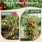 Adjustable Modular Plant Support Cage