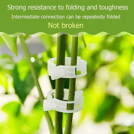 💥Buy 1 GET 1 FREE💥 Secured Plastic Plant Clip