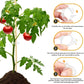 💥Buy 1 GET 1 FREE💥 Secured Plastic Plant Clip