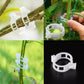 💥Buy 1 GET 1 FREE💥 Secured Plastic Plant Clip