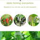 💥Buy 1 GET 1 FREE💥 Secured Plastic Plant Clip
