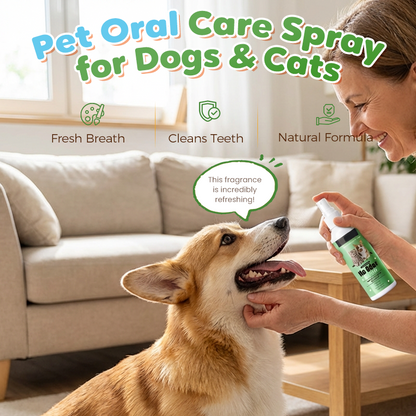 🔥BUY 2 GET 1 FREE🔥Pet Oral Care Spray for Dogs & Cats