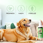🔥BUY 2 GET 1 FREE🔥Pet Oral Care Spray for Dogs & Cats