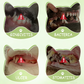 🔥BUY 2 GET 1 FREE🔥Pet Oral Care Spray for Dogs & Cats
