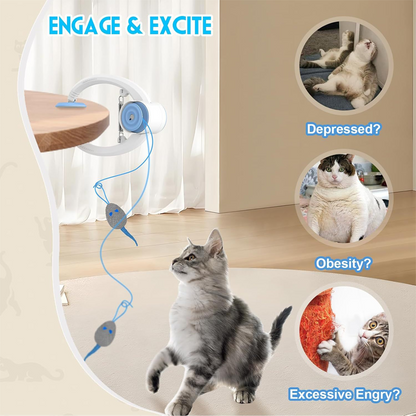 🔥Limited Time Promotion 50% OFF🔥Indoor Hanging Automatic Interactive Cat Toys