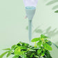 🔥BUY 2 GET 3 FREE🔥Adjustable Plant Self-Watering Insert Spike