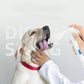 Pet Oral Care Spray for Dogs & Cats