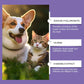 🔥Last day of the limited-time 50% off sale!🔥Gentle Pet Eye Rinse for Dogs & Cats
