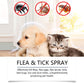 🔥Limited Time Promotion 50% OFF🔥Natural Flea & Tick Spray for Dogs and Cats