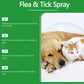 🔥Limited Time Promotion 50% OFF🔥Natural Flea & Tick Spray for Dogs and Cats