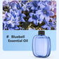 🔥Limited Time Promotion 50% OFF🔥Automatic Aromatherapy Diffuser