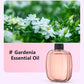 🔥Limited Time Promotion 50% OFF🔥Automatic Aromatherapy Diffuser