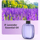 🔥Limited Time Promotion 50% OFF🔥Automatic Aromatherapy Diffuser
