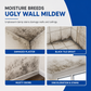 Multi-Purpose Mold & Mildew Remover Spray