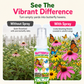 🔥Limited Time Promotion 50% OFF🔥Outdoor Garden Butterfly Attracting Fragrance Spray