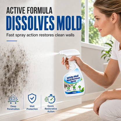 🧽 Wall Mould Stain Remover Spray | 120ml